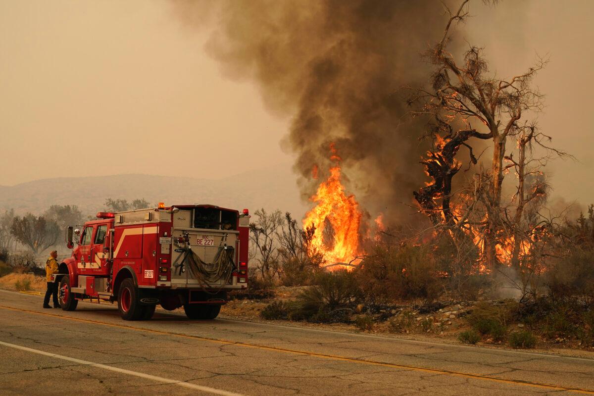 A San Bernardino County Fire Department member keeps an eye on a flareup from the Bobcat Fire in Valyermo, Calif., on Sept. 19, 2020. (Marcio Jose Sanchez/AP Photo)
