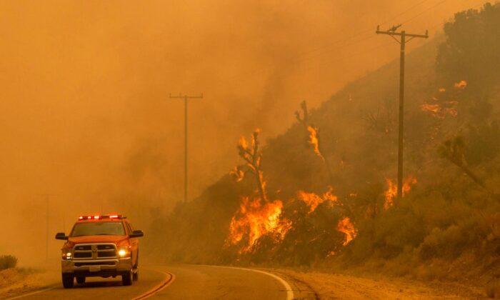 California Stuck in ‘Vicious Cycle’ of Wildfires, Policy Expert Says