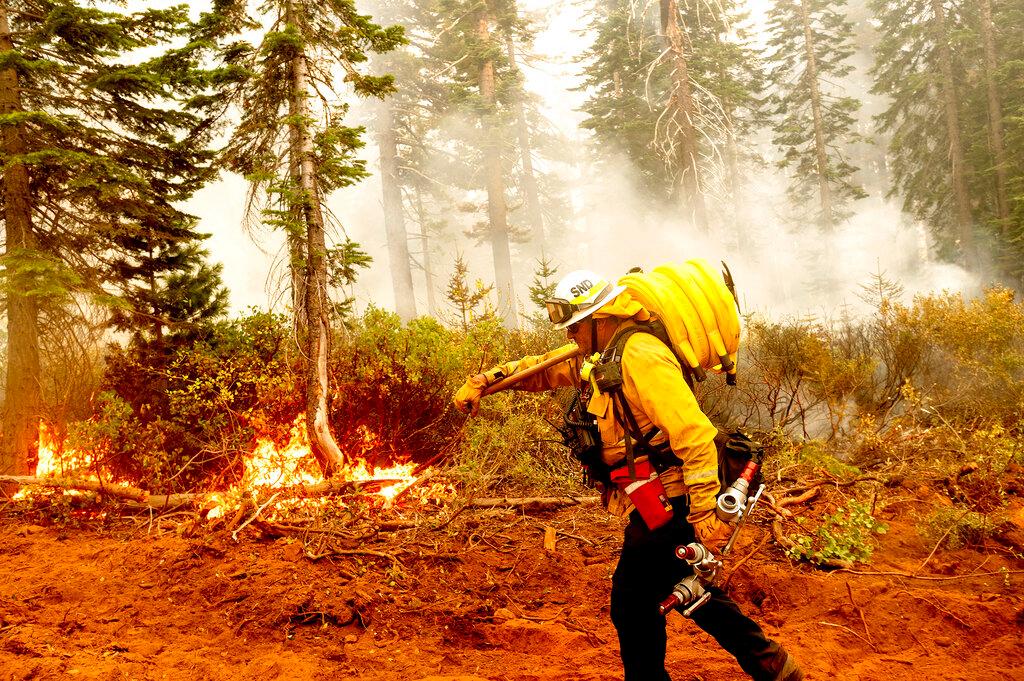 Cal Fire Battalion Chief Craig Newell carries a hose while battling the North Complex Fire in Plumas National Forest, Calif., on Monday, Sept. 14, 2020. (Noah Berger/AP Photo)