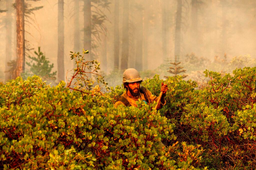 Firefighter Cody Carter battles the North Complex Fire in Plumas National Forest, Calif., on Monday, Sept. 14, 2020. (Noah Berger/AP Photo)