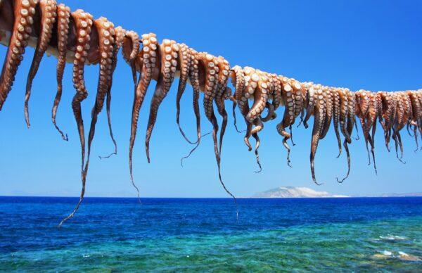 Octopus hanging to dry in the sun is a common sight in Greece. (Jiri Vavricka/Shutterstock) or (Georgios Tsichlis/Shutterstock)