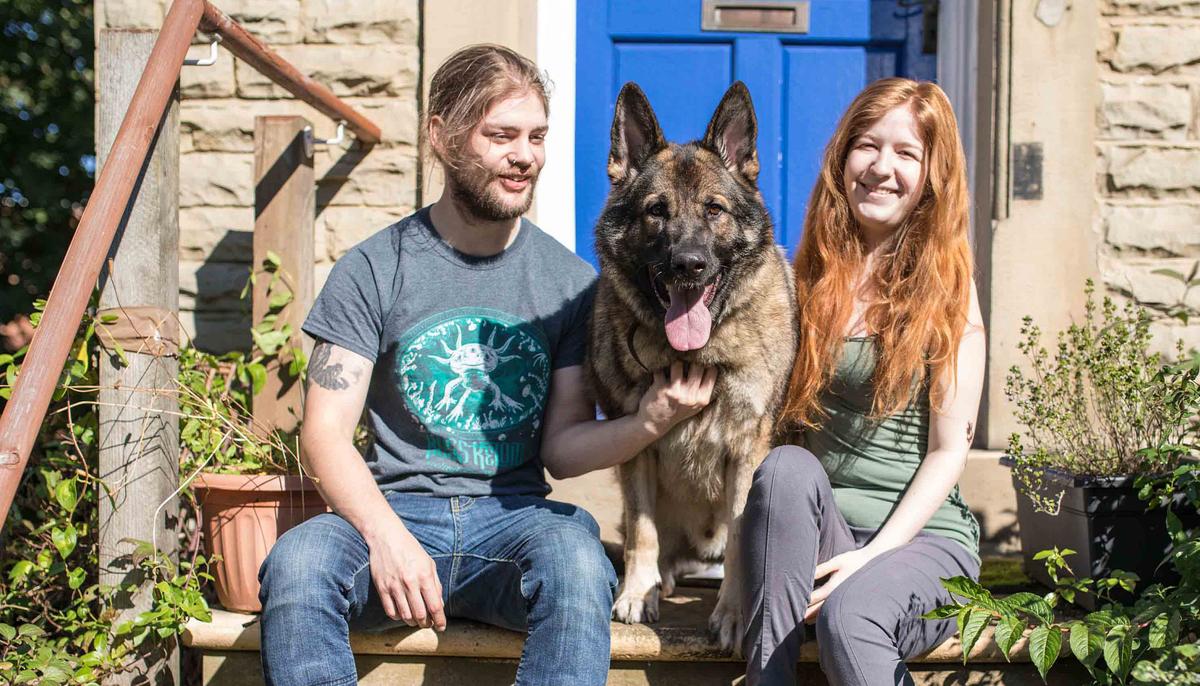 German Shepherd Was Stolen in Broad Daylight but Finds His Way Home 14 MONTHS LATER
