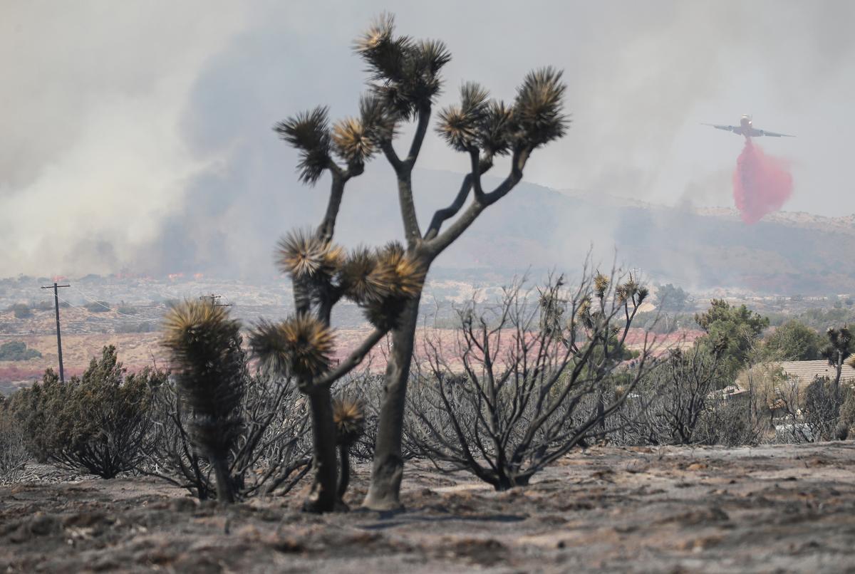 Desert Homes Threatened by Enormous California Wildfire