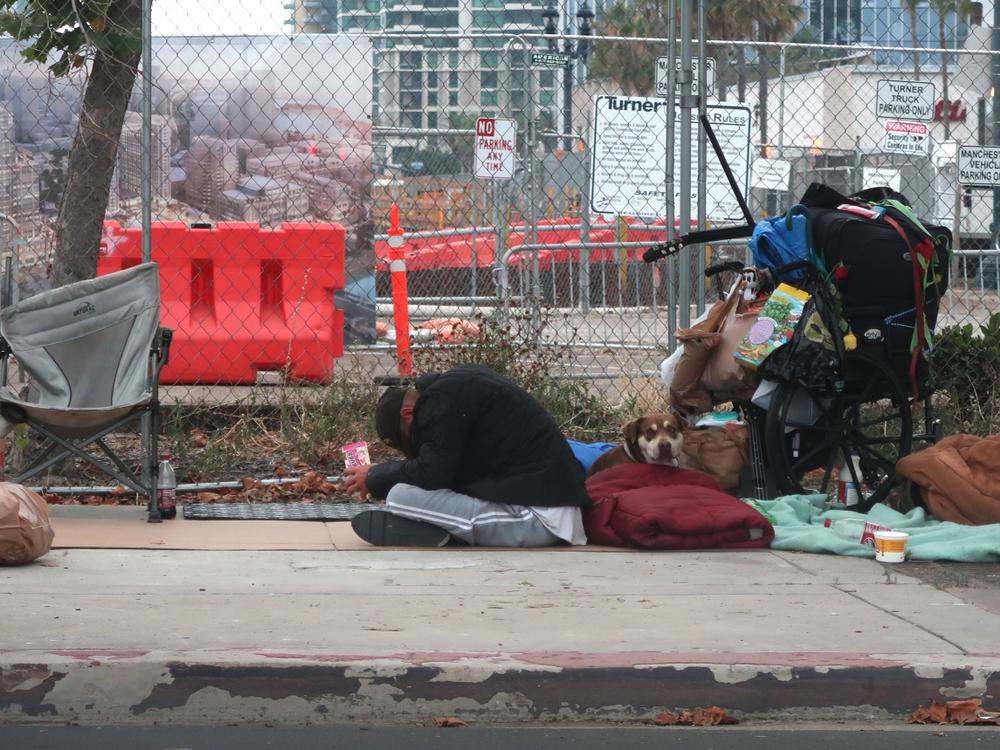 A homeless man and dog next to new building developments in downtown San Diego pictured on July 16, 2019 (S and S Imaging/Shutterstock)