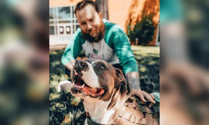 Pet Company Launches 3rd Annual Campaign to Pair Service Dogs With Veterans in Need
