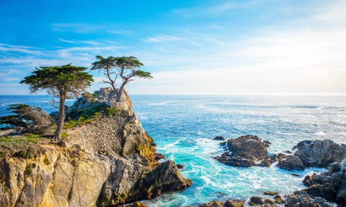 Road Trip Guide: The Pacific Coast Highway