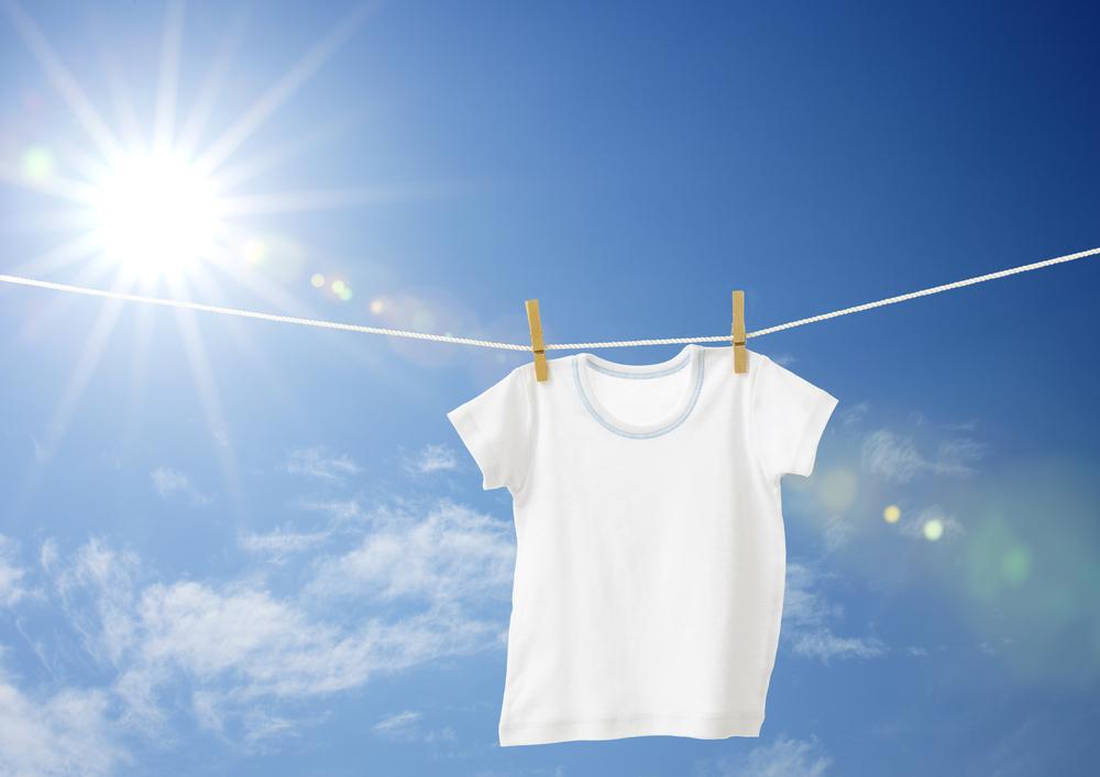Everyday Cheapskate: Solutions for Stains on Shirts and Windows