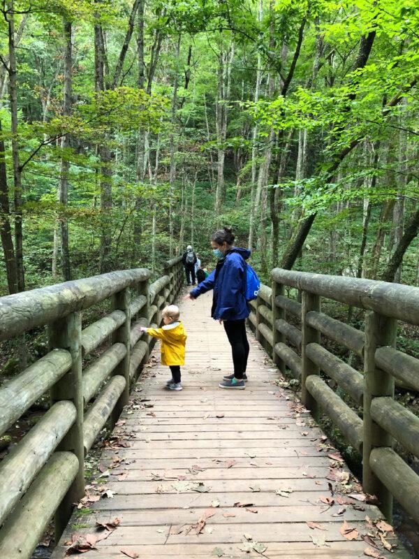 The Jefferson National Forest's Cascades National Recreation Trail offers an excellent place for a walk in the woods near Pembroke, Virginia. (Courtesy of Candyce H. Stapen)