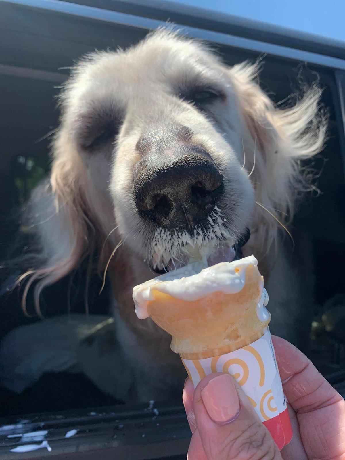 Theo trying ice cream for the first time. (Caters News)