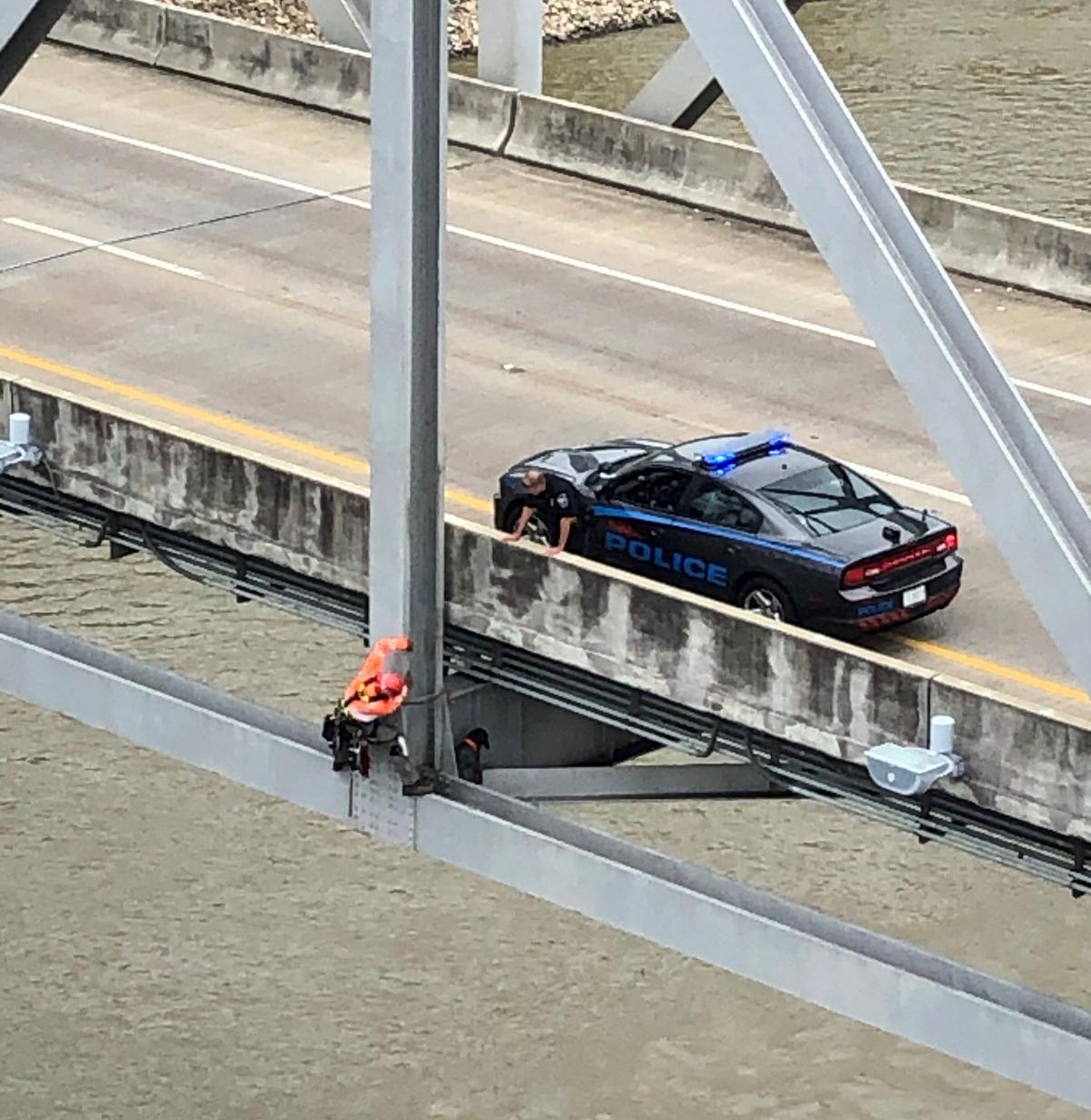 Ryan Nataluk, the vice president of Stantec, rescues the stranded dog from 120 feet above the Mississippi River. (Courtesy of Stantec)
