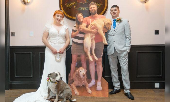 Couple Holds Wedding With Life-Size Cardboard Cutouts of Guests Amid Pandemic