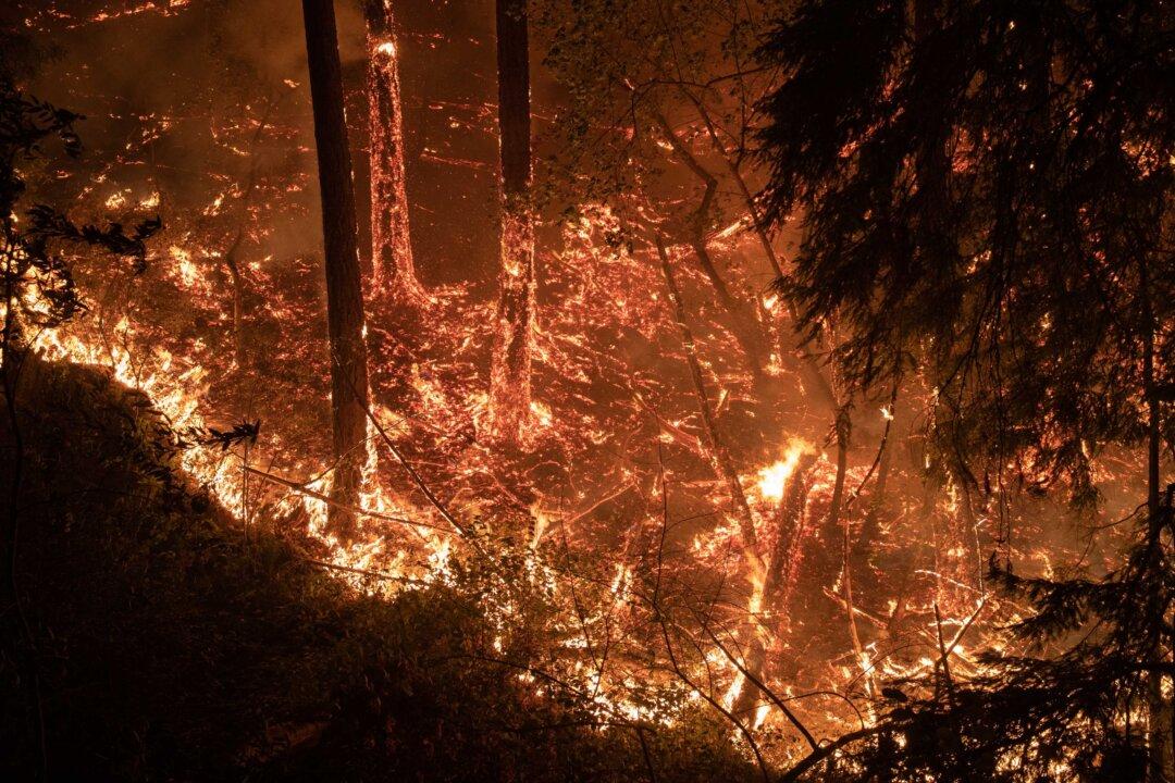 Northern California Wildfires Kill Three, Force Evacuation of Thousands
