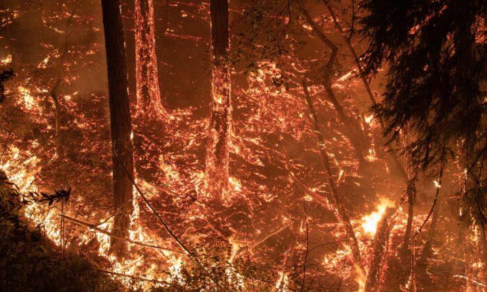 California Residents Again Face Fire Anguish as Homes Burn