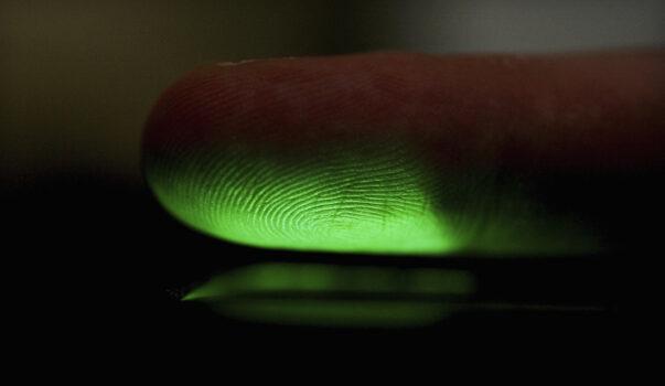 A fingerprint is scanned at Argus Solutions Aug. 11, 2005 in Sydney, Australia. (Ian Waldie/Getty Images)
