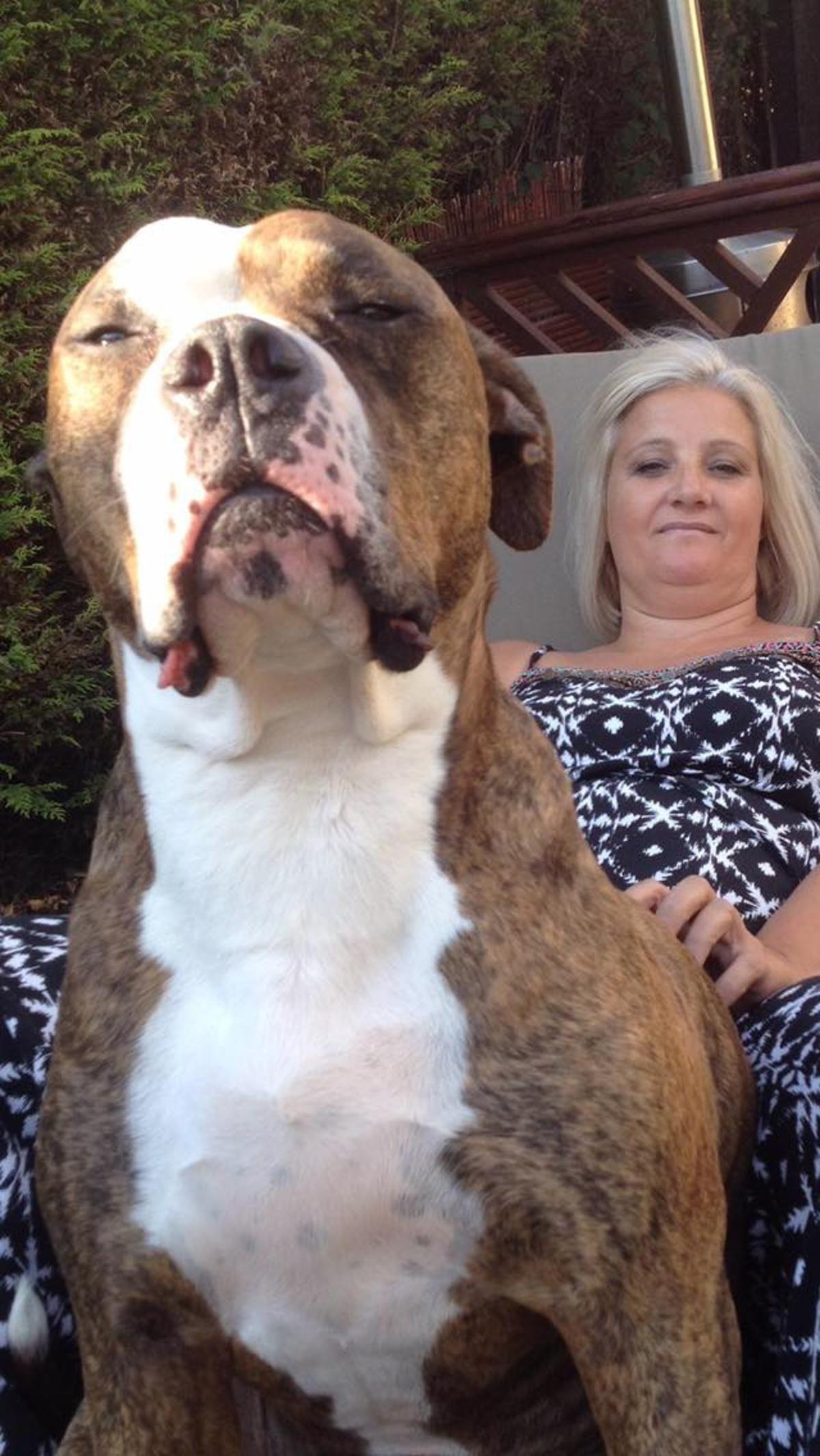 Joanne Gudger with Dave the American bulldog. (Caters News)