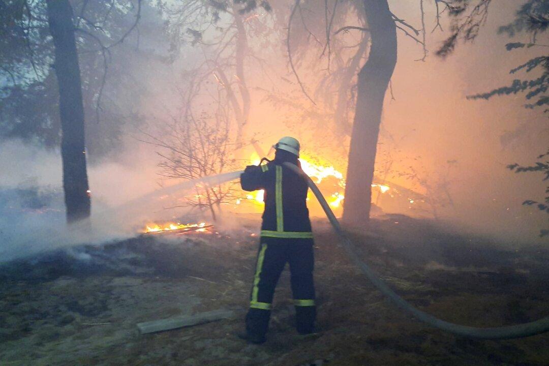 Eight Killed, 10 Hospitalized in Forest Fires in Eastern Ukraine