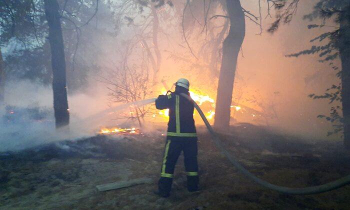 Eight Killed, 10 Hospitalized in Forest Fires in Eastern Ukraine