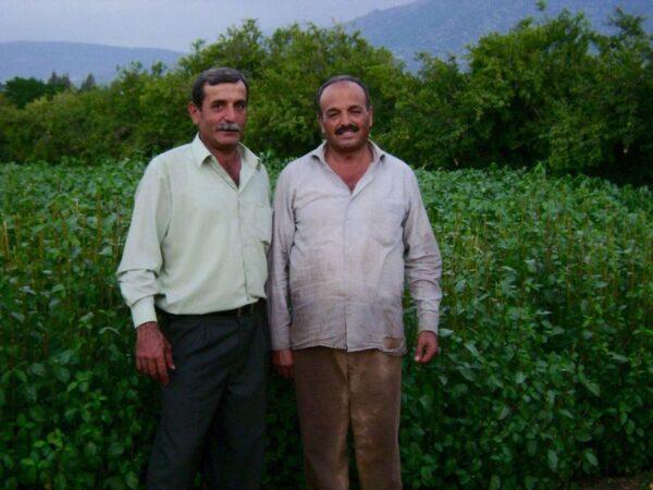 The author's Uncle Sarkis (L) and a farmer on the family land in Lebanon. (Courtesy of Julie Ann Sageer)