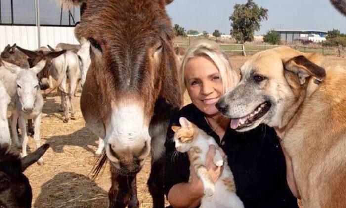 British Woman Runs Sanctuary in Israel to Rescue Mistreated Working Donkeys
