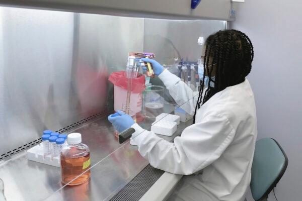 A scientist works in the Regeneron Pharmaceuticals's Infectious Disease Lab in New York state, for efforts on an experimental CCP virus antibody cocktail, in this undated image from video provided by the company on Oct. 2, 2020. (Regeneron via AP)