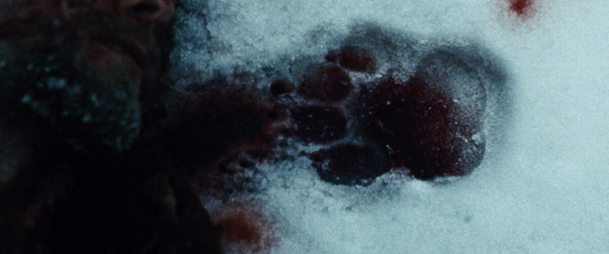 A giant, fake wolf paw-print in "The Grey." (Open Road Films (II))