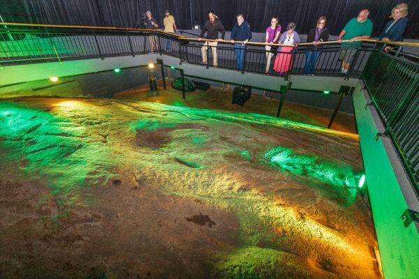 The Hagood Creek Petroglyph Site in South Carolina offers a light show to describe the markings and tell the story of their discovery. (Courtesy of Discover South Carolina)