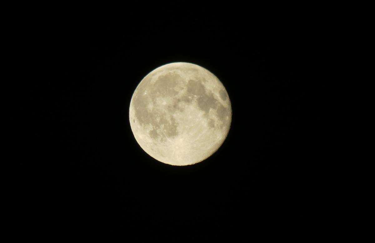 The blue moon of July 31, 2015, taken in Port Coquitlam in British Columbia, Canada (<a href="https://commons.wikimedia.org/wiki/File:Blue_Moon_July_31,_2015.jpg">Ursus sapien</a>/CC BY-SA 4.0)