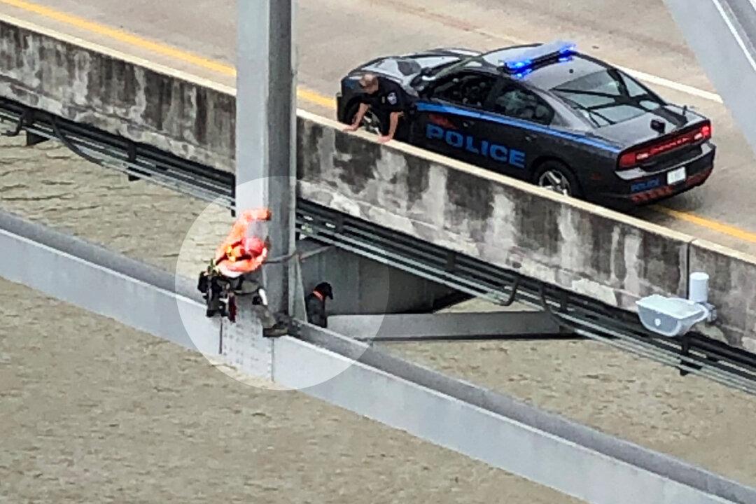 Engineer Saves Pregnant Dog Stranded on Bridge 120 Feet Over Mississippi River