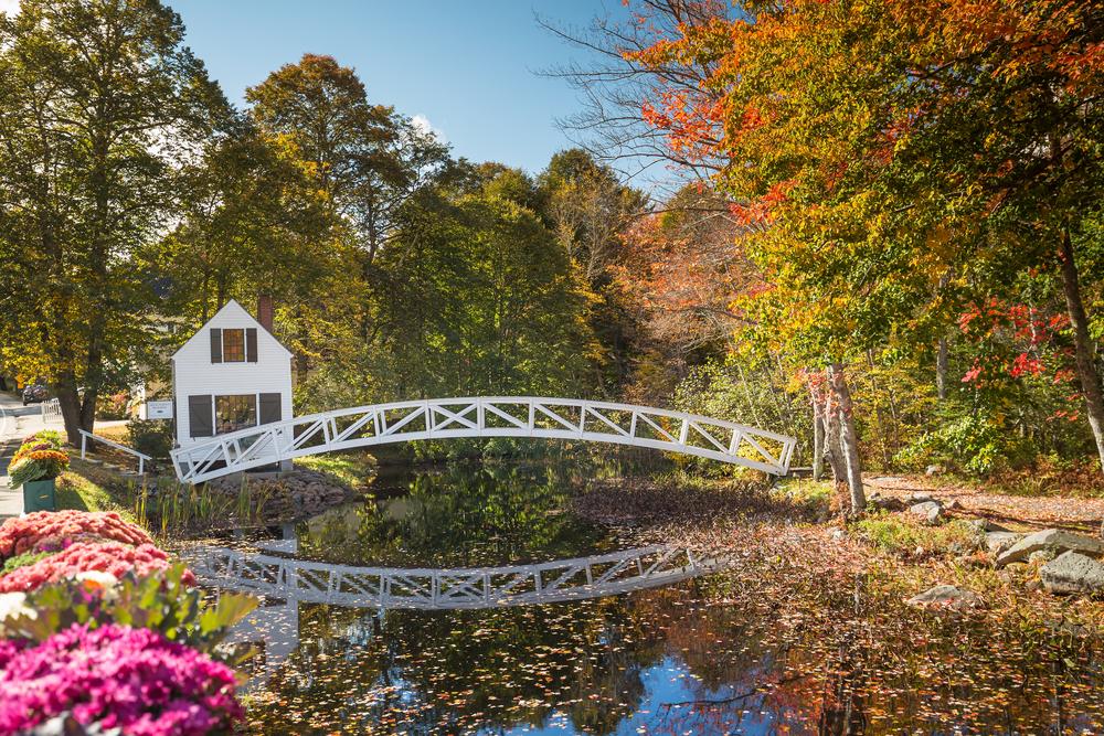  A wooden bridge in Acadia National Park. (f11photo/Shutterstock)