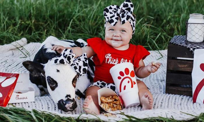Baby and Rescued Calf in Matching Bows Pose for Cute Chick-fil-A-Themed Photoshoot
