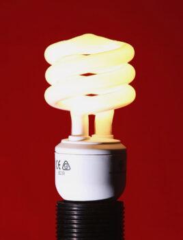 A Compact Fluorescent Bulb (CFL) is seen illuminated June 4, 2007 in Sydney, Australia. (Cameron Spencer/Getty Images)