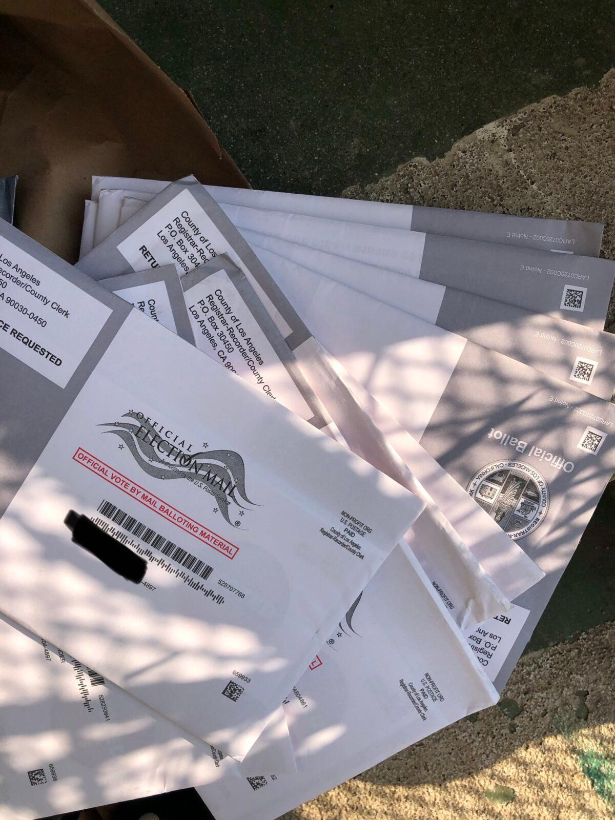Discarded ballots found in Santa Monica, Calif., Oct. 8, 2020. (Courtesy of Osvaldo Jiménez)