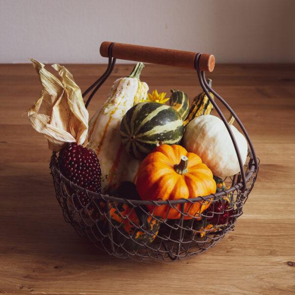 Beyond the kitchen: Decorative gourds are the perfect natural autumnal accessories for your home. (Elusive Edamame/Shutterstock)