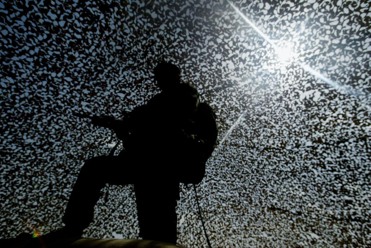 A British soldier from the Royal Army Veterinary Corps stands under camouflage netting at Camp Eagle near Kuwait City, Kuwait, March 5, 2003. (Ian Waldie/Getty Images)