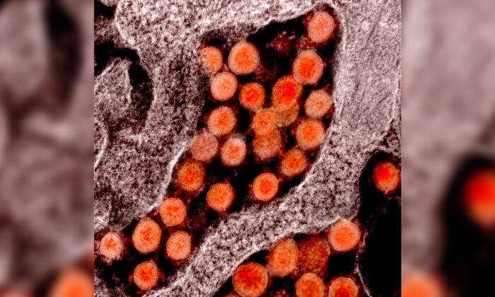 CCP Virus Could Cause Permanent Deafness Warn Researchers