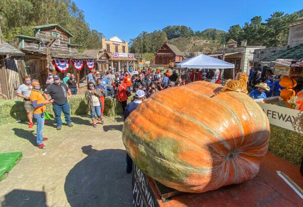 Travis Gienger's 2,350-pound pumpkin, named Tiger King, claimed victory at Half Moon Bay's annual Safeway World Championship Pumpkin Weigh-Off at Long Branch Saloon & Farms on Oct. 12, 2020. (Ilene Eng/The Epoch Times)