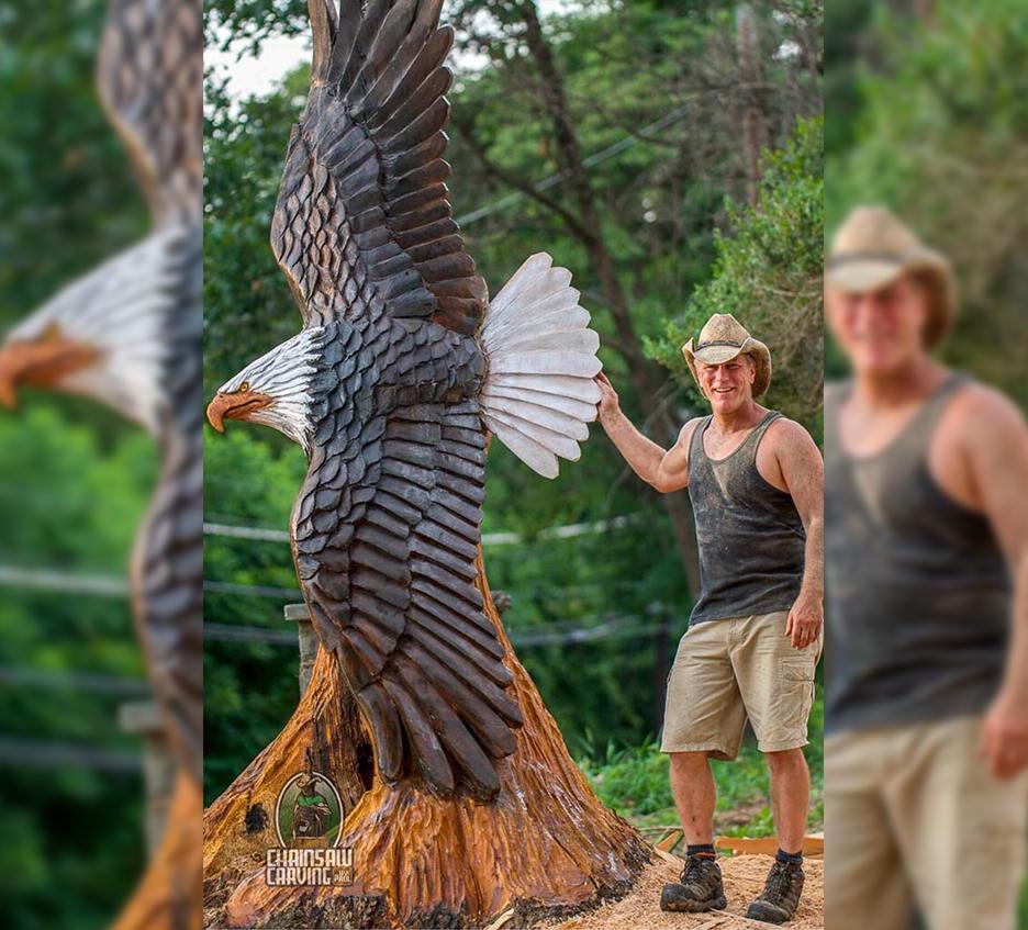 Another of Waclo's eagles, a 12-foot beauty carved from an oak tree in Potomac, Maryland (Courtesy of <a href="https://www.facebook.com/paul.waclo">Paul Waclo</a>)