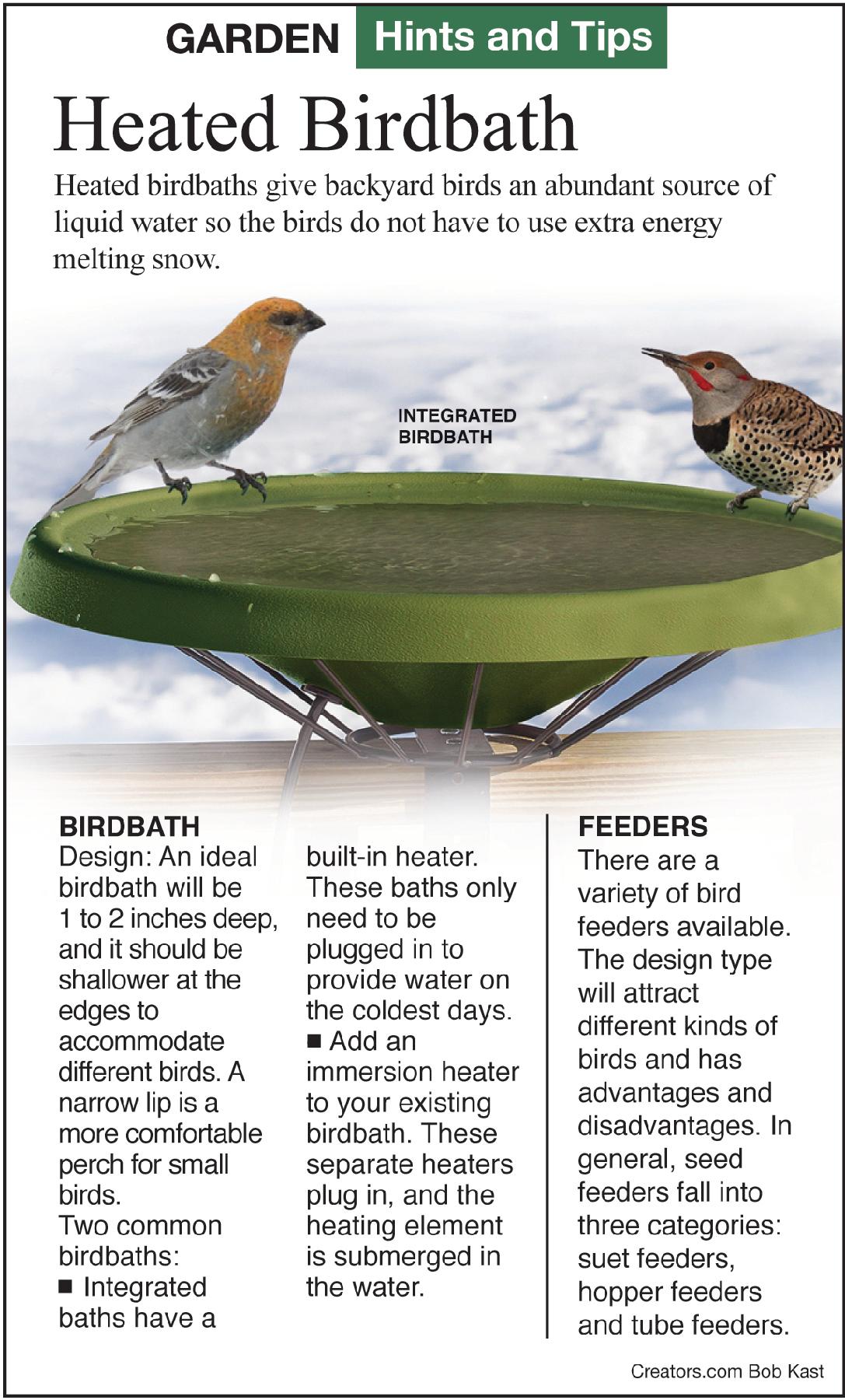 heated birdbaths infographic