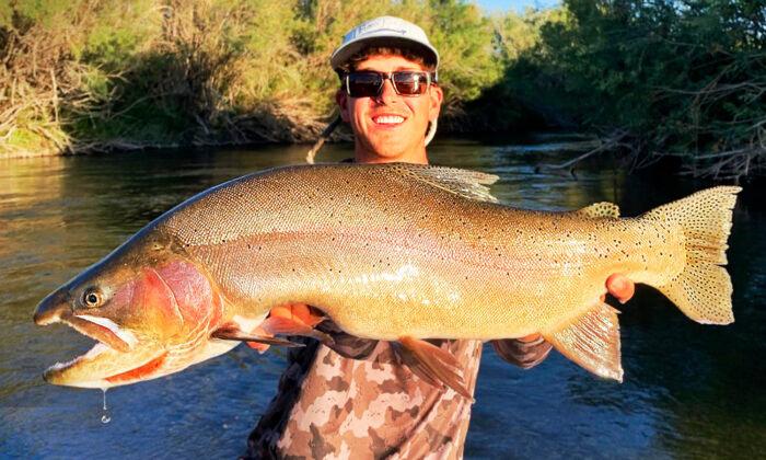 Fisherman Reels In Giant 30-Inch Yellowstone Cutthroat Trout, Breaks State Record