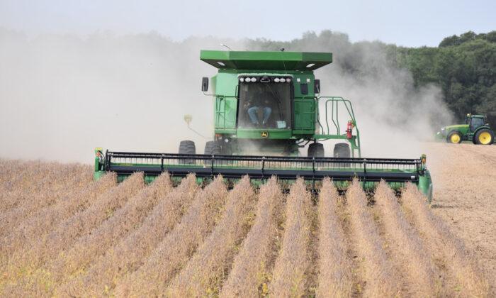 Community Rallies to Help Harvest Soybeans as Farmer Recovers From Triple Bypass Surgery