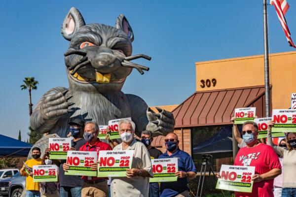 Demonstrators who oppose Proposition 22 gather in front of the International Brotherhood of Electrical Workers Local 411 building in Orange, Calif., on Oct. 16, 2020. (John Fredricks/The Epoch Times)