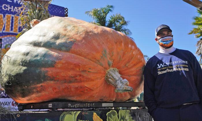 Minnesota Horticulture Teacher Wins California Contest for Pumpkin Weighing 2,350 lb