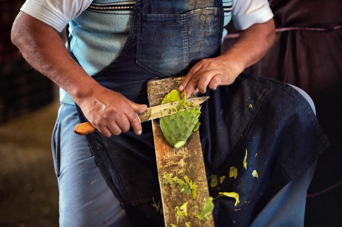 A man cleans nopal or prickly pear cactus at Central de Abasto in Mexico City on Dec. 21, 2017. (ALFREDO ESTRELLA/AFP via Getty Images)