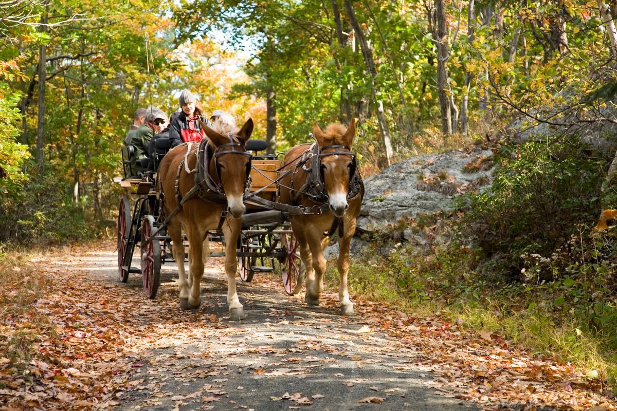 Carriage ride. (Courtesy of Mohonk Mountain House)