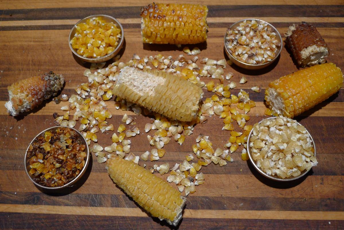 Better Than Candy Corn: Make Chicos, Smoky, Nutty-Sweet Native American Dried Corn
