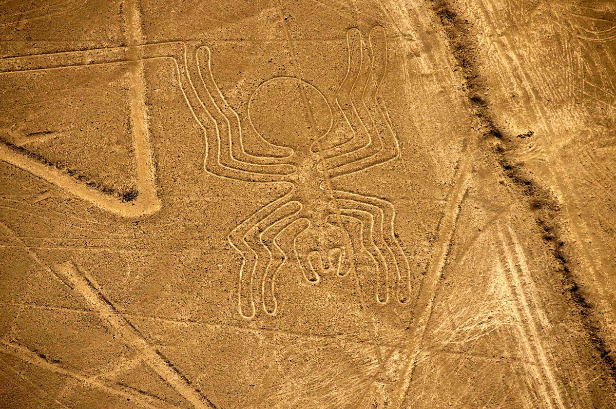 Aerial view of the Spider (46 meters long) at Nazca Lines, some 435 km south of Lima, Peru, on Dec. 11, 2014 (MARTIN BERNETTI/AFP via Getty Images)
