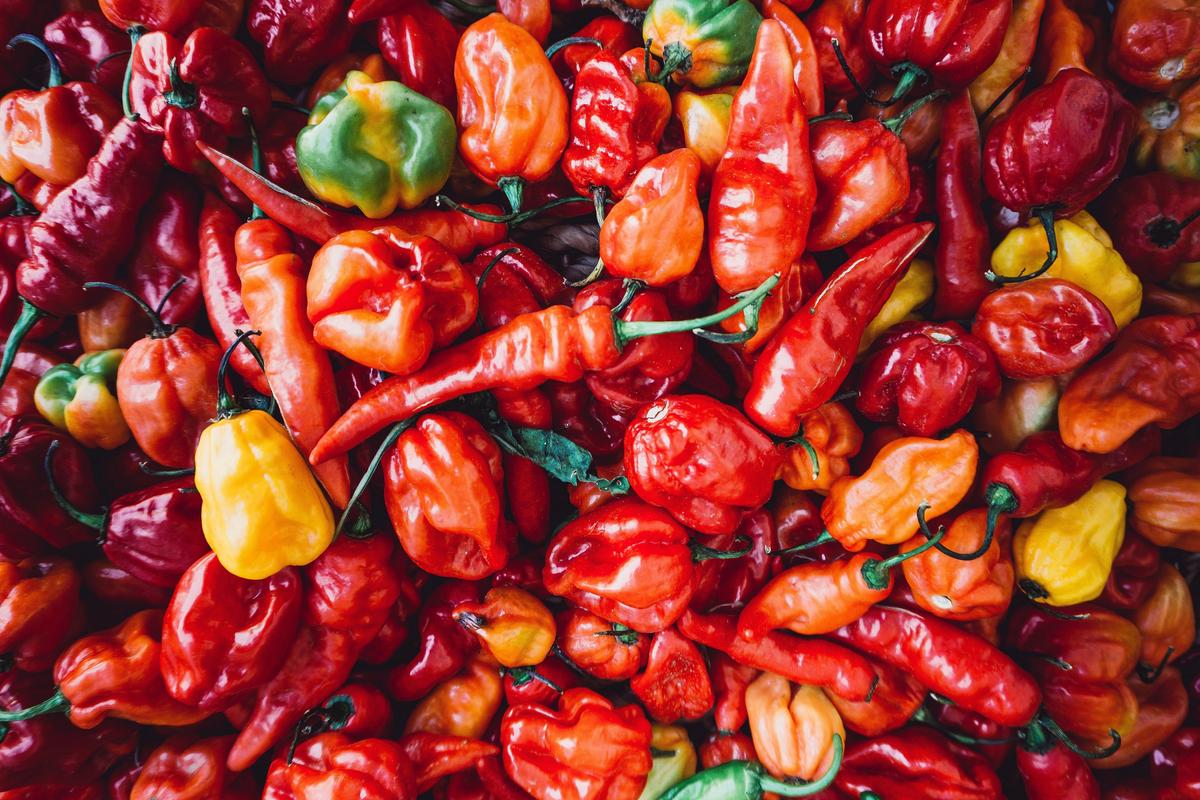  A variety of chilies spice up Mexican cuisine. (Timothy L Brock/Unsplash)