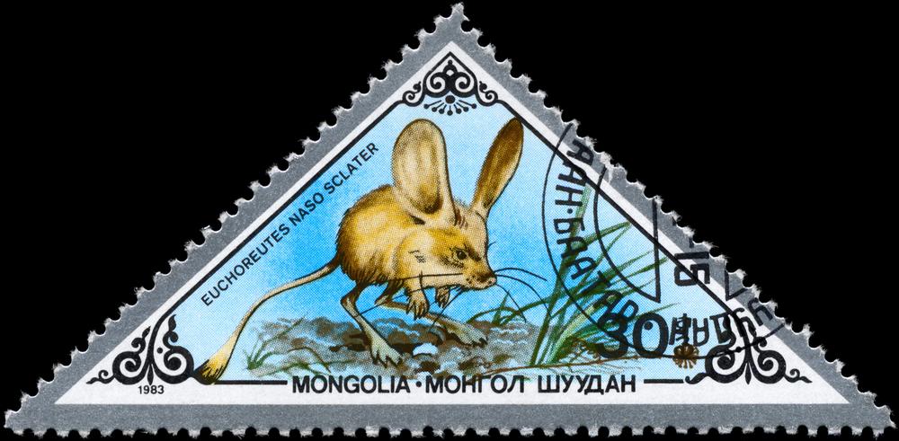A stamp printed in Mongolia shows an image of a long-eared jerboa with the designation from the series "Rodents" (AlexanderZam/Shutterstock)