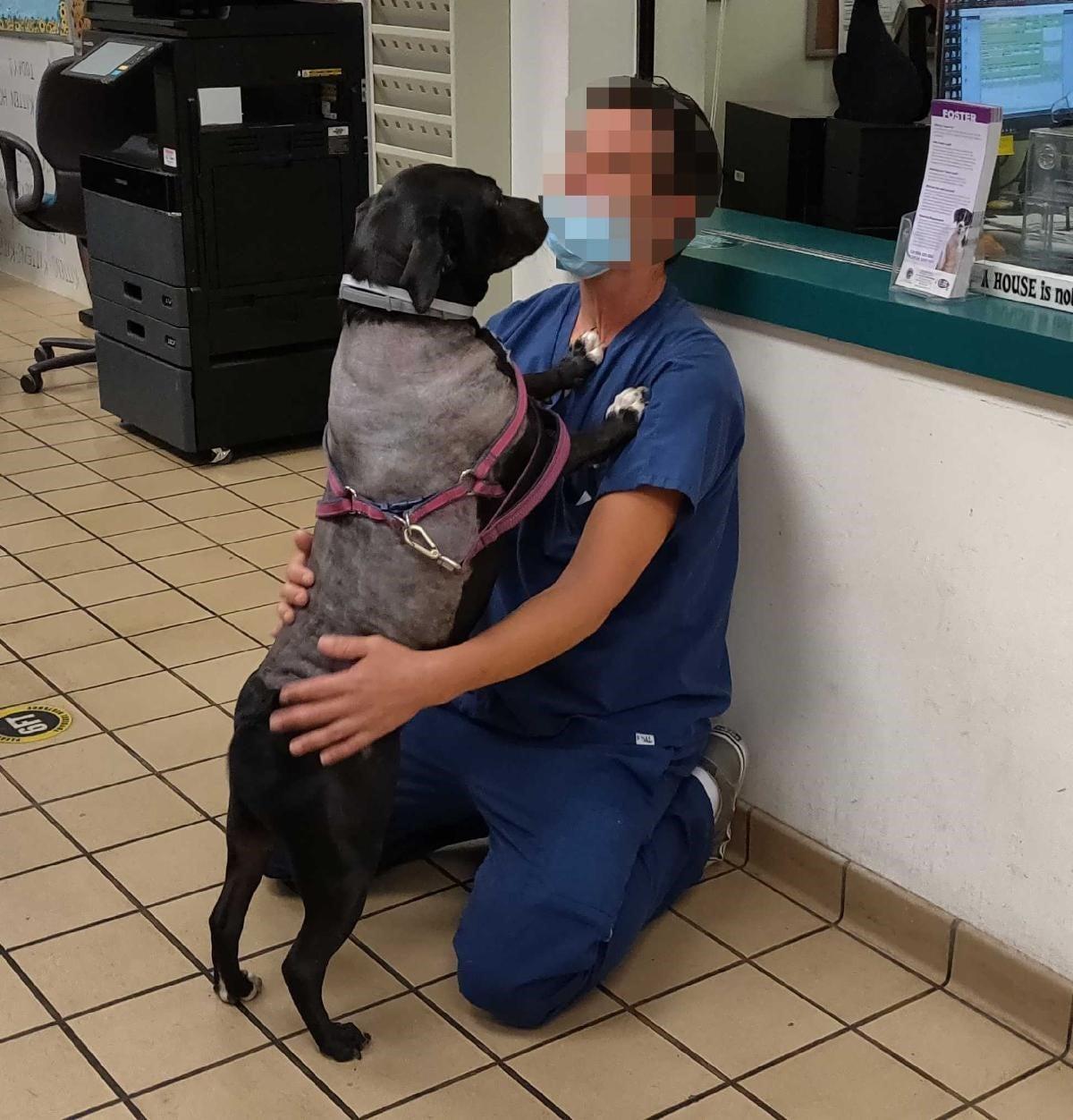 (Courtesy of <a href="http://www.pbcgov.com/publicsafety/animalcare/">Palm Beach County Animal Care and Control</a>)