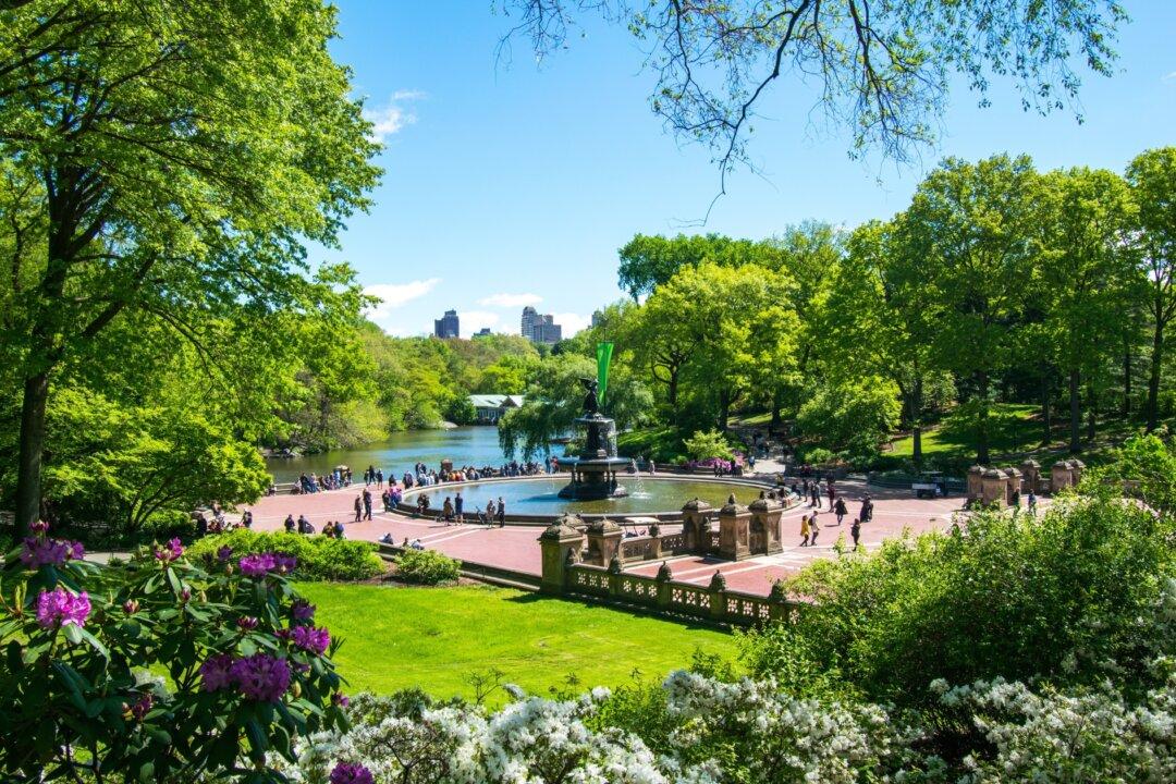 The Olmsted Legacy: A Core Belief in the Inherent Goodness of People and Nature